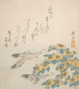 Pływające ryby z żółtymi kwiatami, ca. 1830. autorstwa Ikeda Eisen