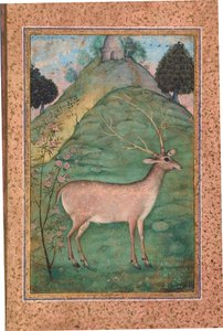 Buck w krajobrazie, ok. 1595 (nieprzezroczysta toaleta i złoto na papierze) autorstwa Indian School