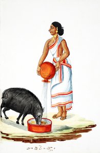 Karmienie dzikiej świni (wc na papierze) autorstwa Indian School