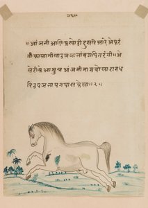Koń (nieprzezroczyste wc na papierze) autorstwa Indian School