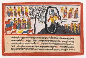 Krishna Conquers the Serpent Kaliya, strona z rozproszonej serii Bhagavata Purana, ok. 1775 (nieprzezroczysta toaleta i złoto na papierze) autorstwa Indian School