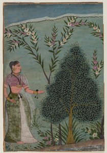Pani na pustyni, fragment strony z serii Bhagavata Purana, ok. 1590-1600 (wc i złoto na papierze) autorstwa Indian School