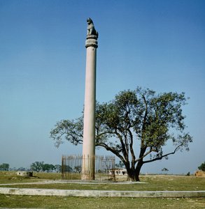 Słup lwa cesarza Aśoki (ok. 264-223 p.n.e.) autorstwa Indian School
