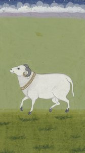Baran ze złotym kołnierzem, 1700-1799 autorstwa Indian School