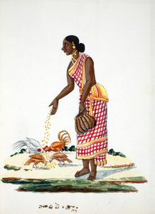 Kobieta karmiąca kurczaki (wc na papierze) autorstwa Indian School