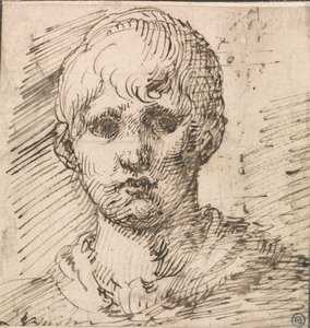 Głowa chłopca autorstwa Inigo Jones