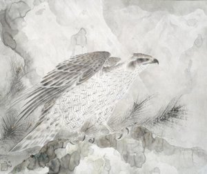Jastrząb (Falke) autorstwa Irie Hako