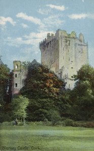 Zamek Blarney, Cork autorstwa Irish Photographer