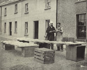 Wykonywanie fajek glinianych, Drogheda (zdjęcie czarno-białe) autorstwa Irish Photographer