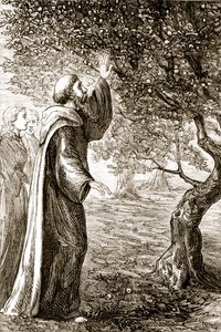 Św. Kolumba zamienia gorzkie owoce w słodkie, z Trias Thaumaturga, czyli Three Wonder-Working Saints of Ireland, autorstwa Mary Cusack (1829-99) opublikowanej ok. 1890 roku autorstwa Irish School