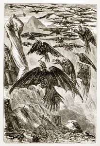 Św. Patryk i demoniczne ptaki, z Trias Thaumaturga, czyli Trzech Cudotwórczych Świętych Irlandii, autorstwa Mary Cusack (1829-99) opublikowanej ok. 1890 roku autorstwa Irish School