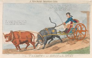 Ein neuer irischer Jaunting Carr. Das Tandem - oder Billy in seinem Sulky autorstwa Isaac Cruikshank
