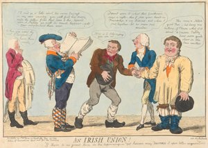Eine irische Union