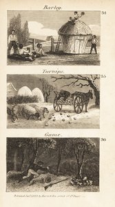 Transakcje w Norfolk, Regency England