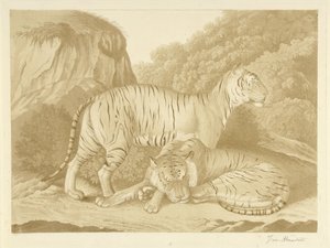 Dwa tygrysy w krajobrazie autorstwa Isaac van Haastert (signed by artist)