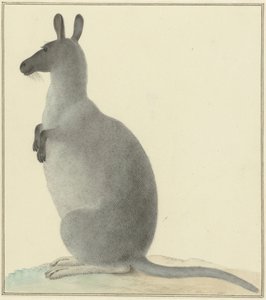 Kangur autorstwa Isaac van Haastert