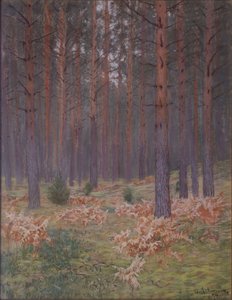 Paprocie, 1894