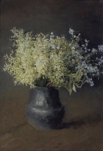Dzikie fiołki i niezapominajki, 1889
