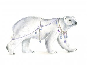 Królewski polarny majestat