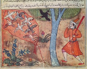 Polowanie na ptaki, z „Księgi Kalili i Dimny”, z „Bajek Bidpaya” autorstwa Islamic School