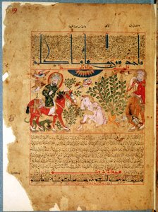 Ms. Arabe 2964 fol.19 Doktor Anoromach uzdrawiający brata ugryzionego przez węża, z Treatise of Theriac po Galien, 1217 autorstwa Islamic School