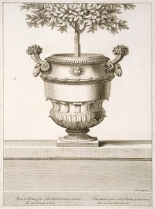 Urny z brązu używane do drzewek cytrusowych, ilustracja z „Widoków i planów wersalskich”, Paryż, ok. 1664-89 (rycina) autorstwa Israel the Younger (after) Silvestre