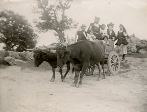 Rodzina na wozie ciągniętym przez woły, Sardynia, Włochy, ok. 1910 r.