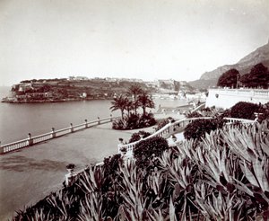 Panorama Monte Carlo. Na pierwszym planie gęsta roślinność agawy i kaktusów autorstwa Italian Photographer