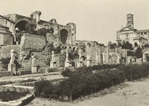 Forum Romanum, bazylika Konstantyna, świątynia Romulusa i dom dziewic westalek autorstwa Italian Photographer