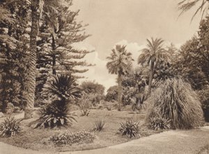 Sycylia / Sycylia: Villa Tasca, Palermo (zdjęcie czarno-białe) autorstwa Italian Photographer