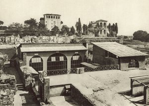 Palatyn, Dom Liwii autorstwa Italian Photographer