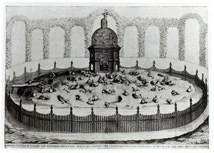 Królik z wolierą dla małych ptaków, od Le Fabbriche e i Giardini dellEcc. Casa Barbariga, autorstwa D. Rossettiego, rycina G. Campana, wydana w 1702 r. autorstwa Italian School