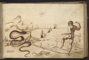 Dodać. 82955, f.115 Wąż („hydra”); Jaszczurka („Hemorrovs”); i postać ludzka.  , z Historii Animalium, (składający się z 245 rysunków wykonanych piórem i atramentem różnych gatunków zwierząt i mitycznych stworzeń, każdy opatrzony opisem.)    1595 autorstwa Italian School