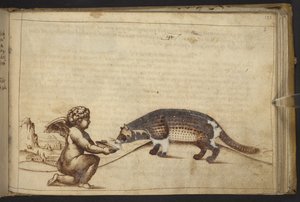 Dodać. 82955, f.193   Cherub i stworzenie.  , z Historii Animalium, (składający się z 245 rysunków wykonanych piórem i atramentem różnych gatunków zwierząt i mitycznych stworzeń, każdy opatrzony opisem.)    1595 autorstwa Italian School
