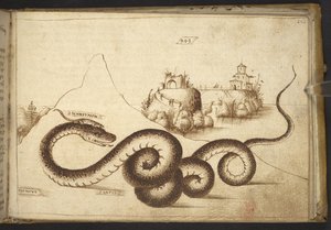 Dodać. 82955, f.242 Wąż („aspis”).  , z Historii Animalium, (składający się z 245 rysunków wykonanych piórem i atramentem różnych gatunków zwierząt i mitycznych stworzeń, każdy opatrzony opisem.)    1595 autorstwa Italian School