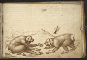 Dodać. 82955, f.244 Walczące stworzenia podobne do psów (