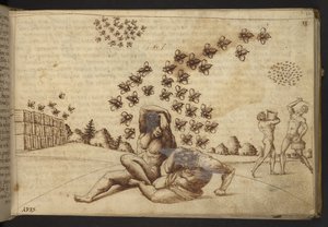 Dodać. 82955, f.60   Pszczoły („małpy”).  , z Historii Animalium, (składający się z 245 rysunków wykonanych piórem i atramentem różnych gatunków zwierząt i mitycznych stworzeń, każdy opatrzony opisem.)    1595 autorstwa Italian School