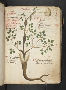 Dodaj MS 41623 