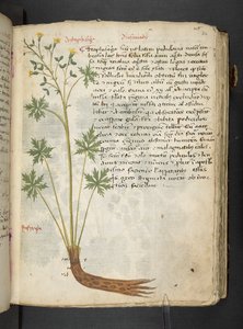 Dodaj MS 41623 