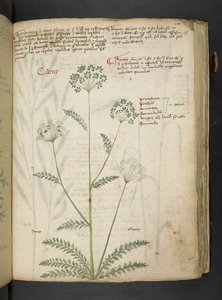 Dodaj MS 41623 