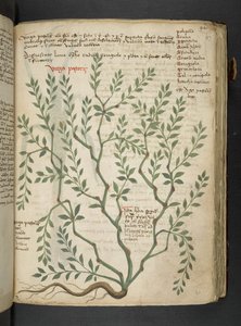 Dodaj MS 41623 