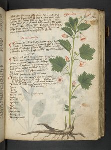 Dodaj MS 41623 