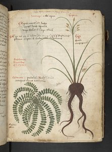 Dodaj MS 41623 