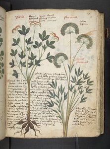 Dodaj MS 41623 