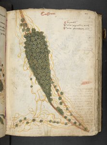 Dodaj MS 41623 