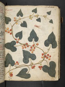 Dodaj MS 41623 