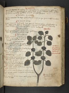 Dodaj MS 41623 
