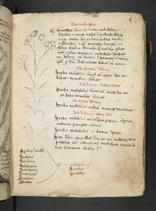 Dodaj MS 41623 