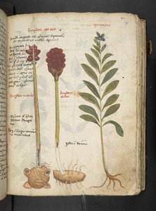 Dodaj MS 41623 