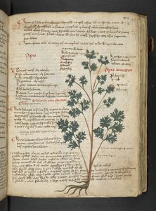 Dodaj MS 41623 